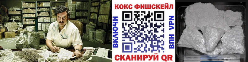 COCAIN Fish Scale  Купить где  Пучеж 
