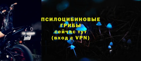 бошки Каменка