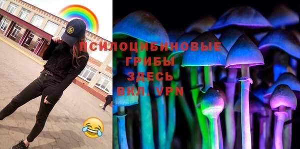 молекула духа Инта