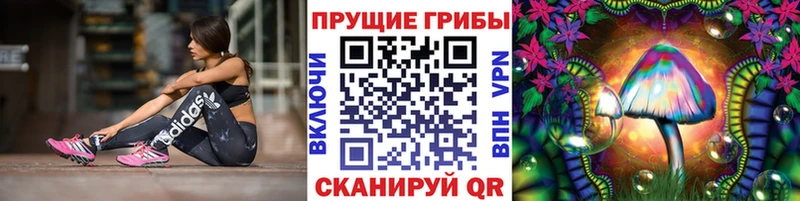 Купить  Пучеж  Псилоцибиновые грибы прущие грибы 
